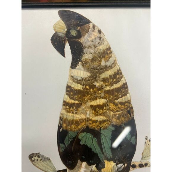 Vtg 70s Authentic Butterfly Wing Art Tropical Bird Parrot - Picture 6 of 6